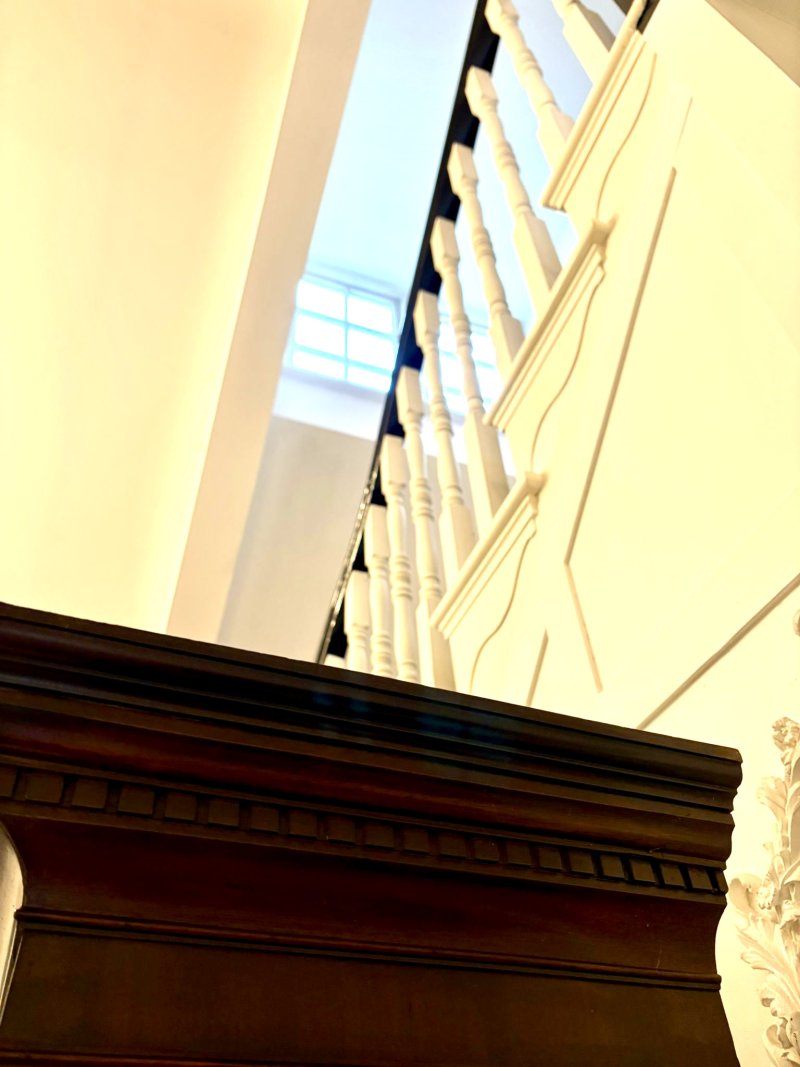 Outstanding Quality Large Antique Victorian Astral Glazed Carved Mahogany Bookcase - Image 10